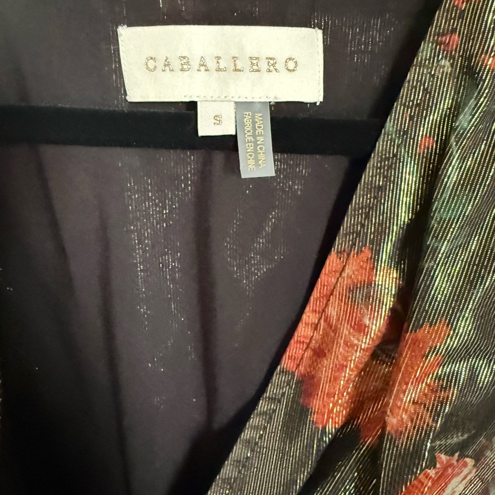 Like new Anthropologie Caballero Metallic Floral Deep V-Neck Maxi Dress size S. - Picture 5 of 9